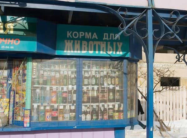 Анекдотов нет фотоприколы фото Анекдотов нет фотоприколы фото