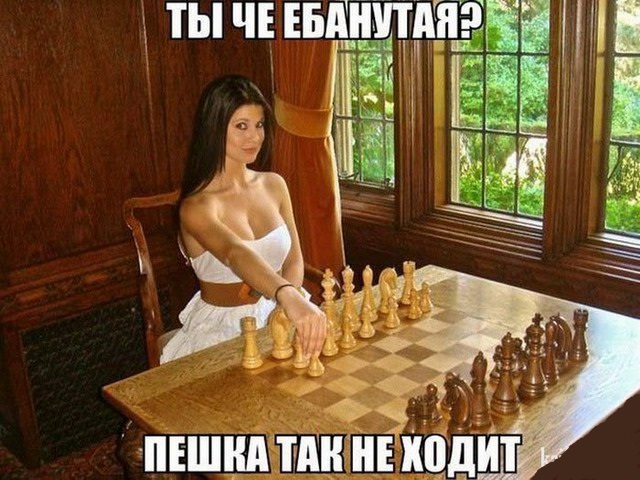 Шахматы - это круто!
