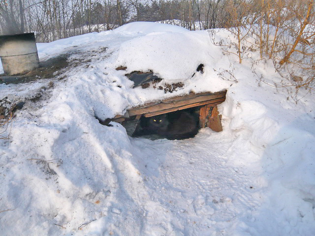 Спринт Триал "Беркут"