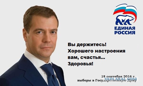 Пожелания от медведева Пожелания от медведева