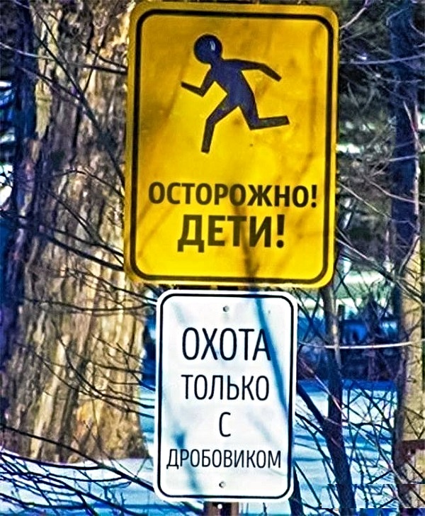 12843343.jpg