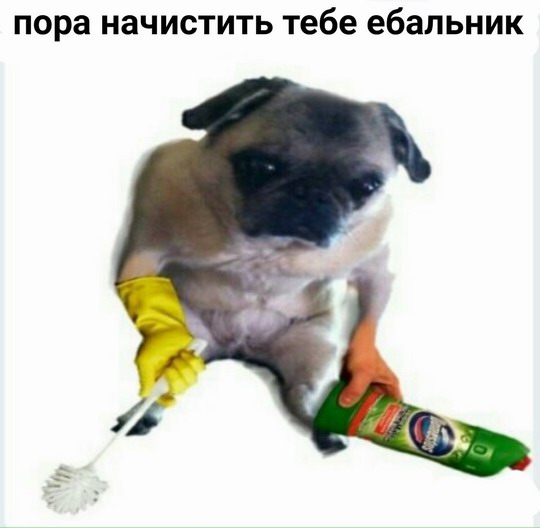 Чернушка на пятничку