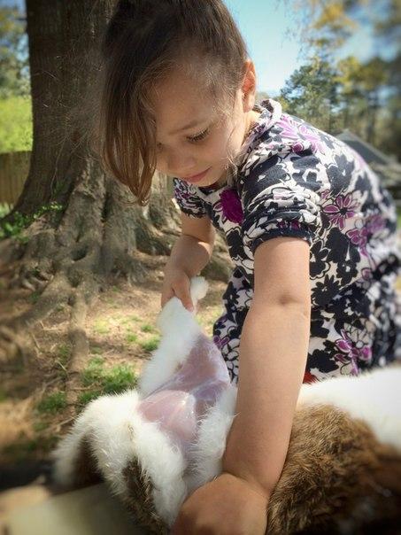 Девочка и кролики или капелька милоты