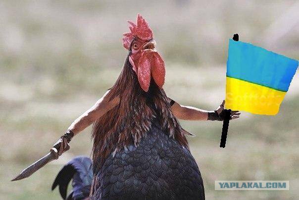 Украина перебросила танки и БТР к границе с Крымом