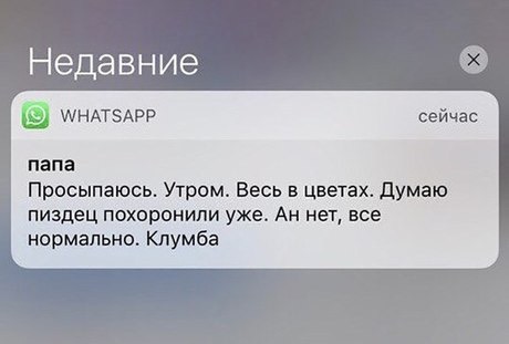 Забавных картинок не хотите ли?