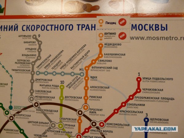 Станция метро Путино
