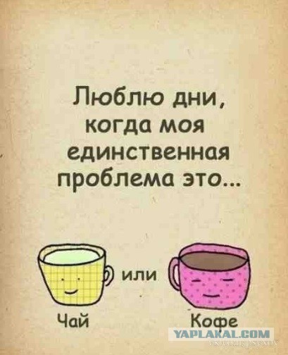 Установлена владелица автомобиля, не пропустившего скорую к умирающему пациенту