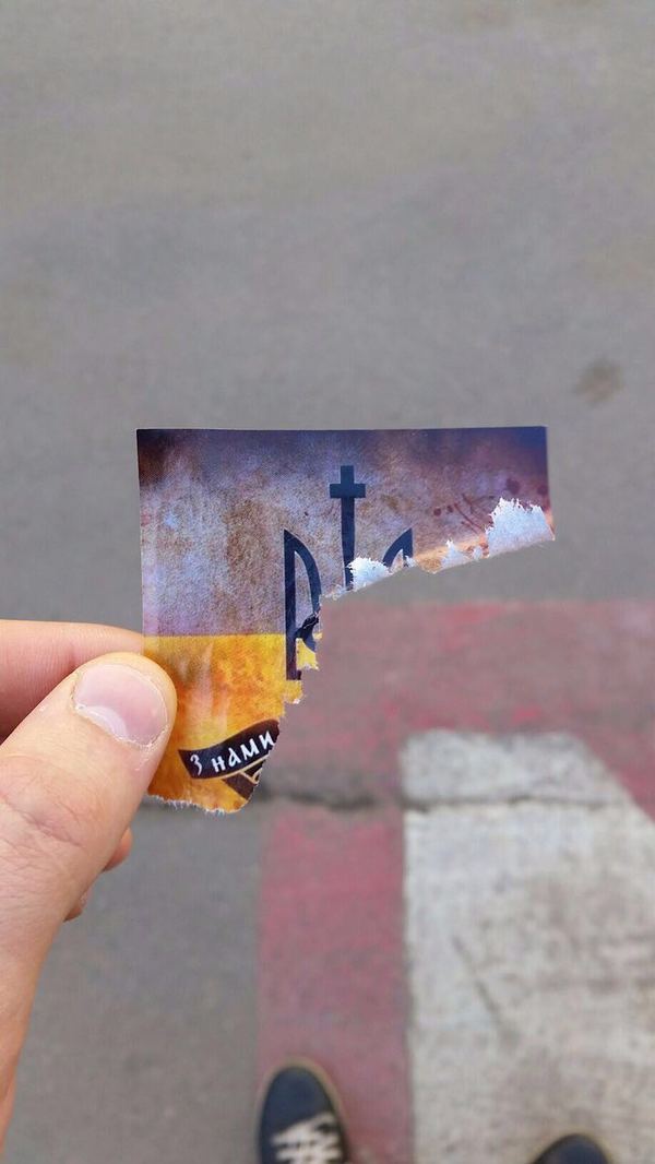 7766153.jpg