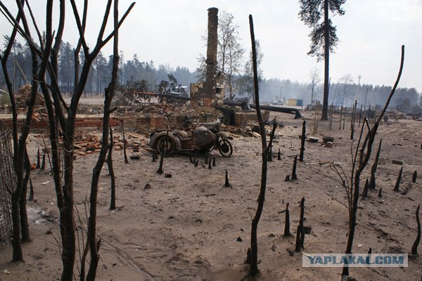 Пожары в рязанской области