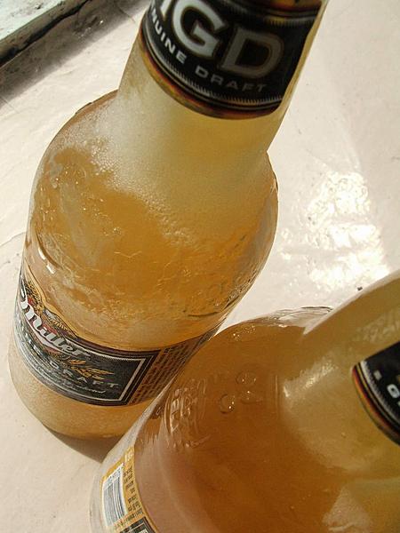 Beer bottle anal