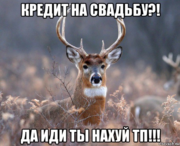 Эта Сука Обожает Куни Эта Сука Обожает Куни