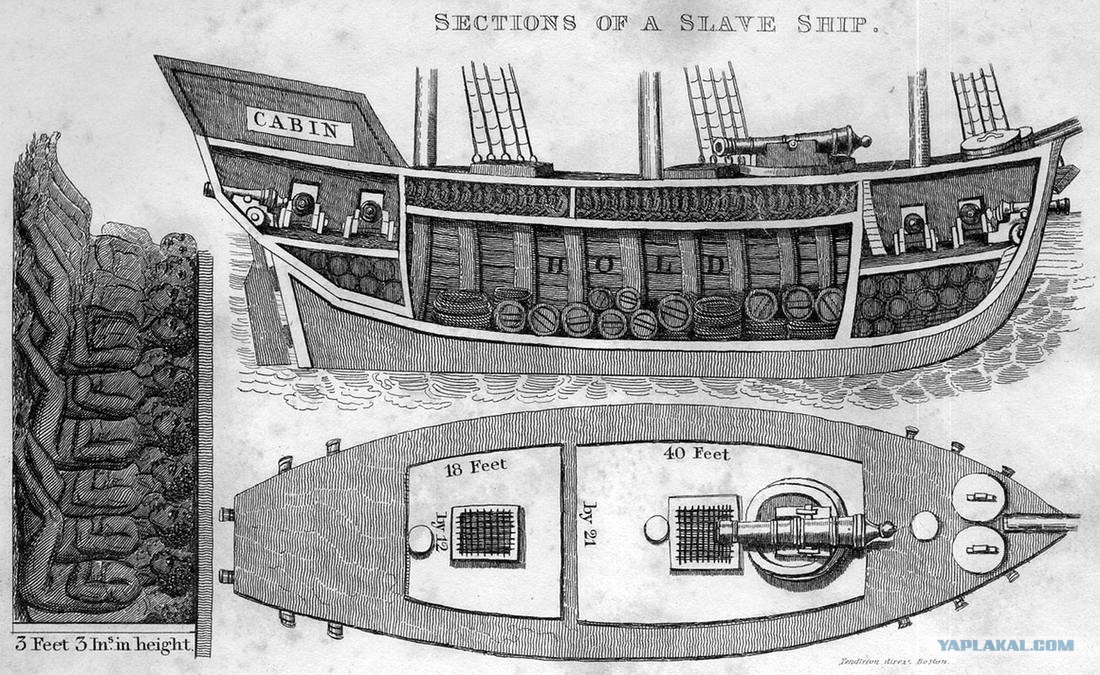 slave ship essay One particular kind of visual description is also the oldest type of writing about art typhoon coming on, also known as the slave ship sample student papers. slave ship essay One particular kind of visual description is also the oldest type of writing about art typhoon coming on, also known as the slave ship sample student papers.
