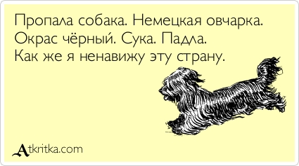 2 недели отчаяния и надежды… Волгоградцы объединились для спасения собаки, которая жила в ловушке