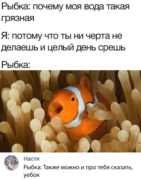 Здесь вам не рады