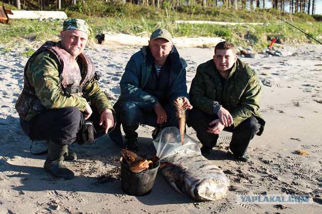 Рыбалка на Белом море