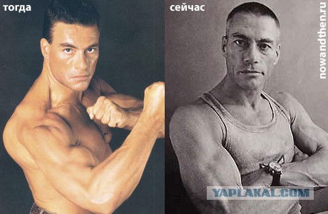 Сколько лет жан клоду ван даму 2018 Сколько лет жан клоду ван даму 2018