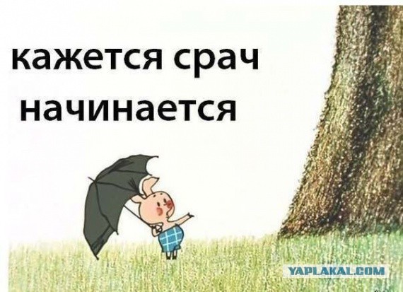 Женился на разведёнке с "прицепом" и развёлся через неделю