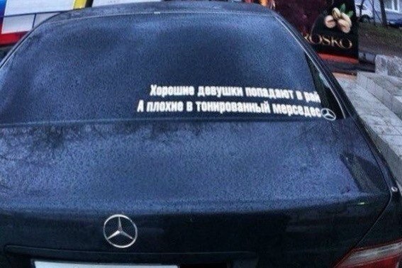 7861363.jpg