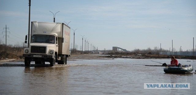 Рыбалка на дороге (2 фото)