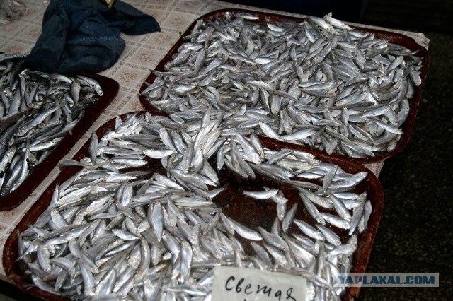 Керченский рынок, рыбные ряды