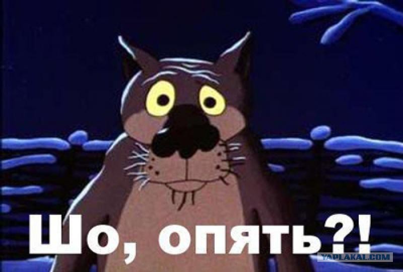 Статус зря ты так Статус зря ты так