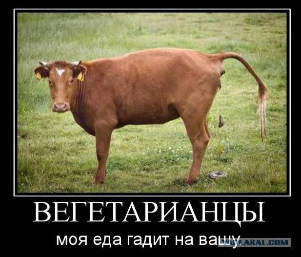 PETA - голые и окровавленные