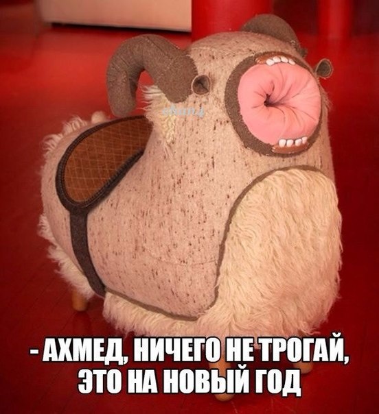 6770573.jpg