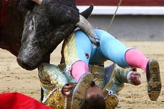 Тореадор умер после боя с быком в Испании