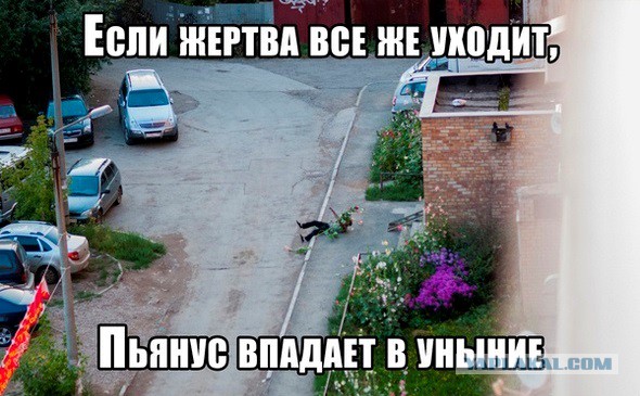 3980673.jpg