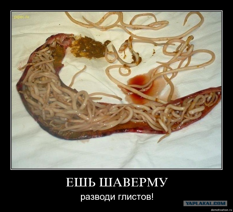 глисты в печени человека фото глисты в печени человека фото