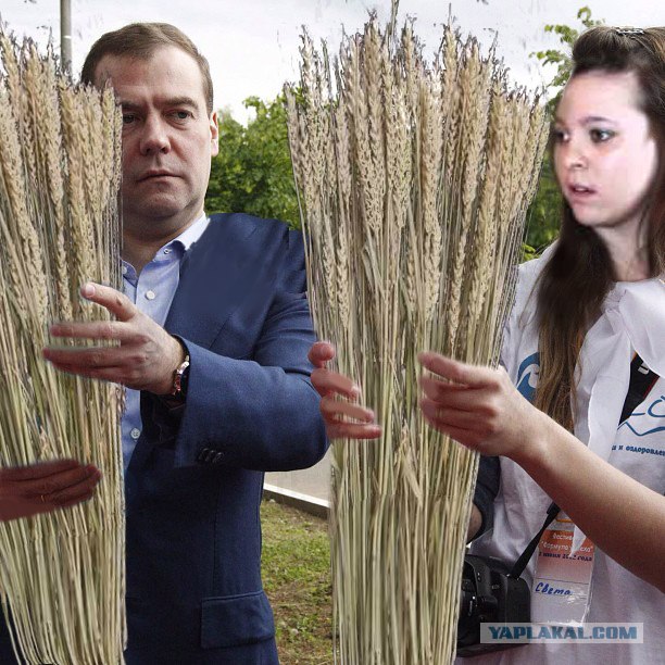 Загадки о предметах гигиены (старший дошкольный возраст) » Всегда Всё просто : Планета Земля краткая презентация
