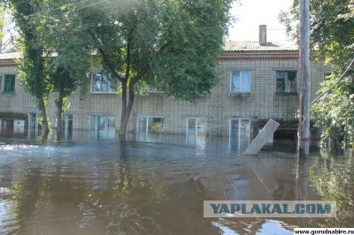 Наглядно о текущем уровне воды в Амуре