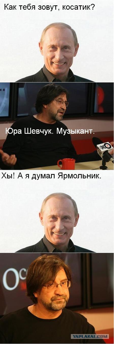 Шевчук и Путин (5 комиксов)