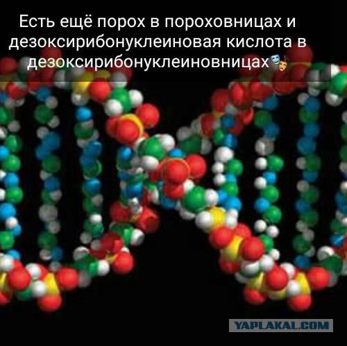 Записки узника Освенцима, вынужденного служить в зондеркоманде, расшифрованы