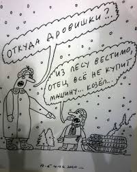 За неправильный хворост грозит штраф и даже колония. Как собрать валежник и не попасть под уголовную статью...