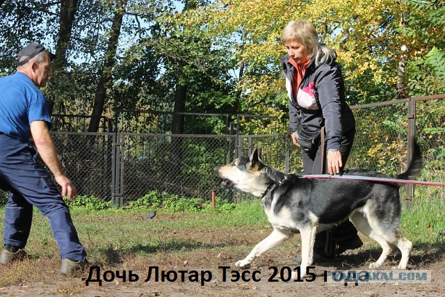 Сыночек к мамане в гости приезжал)))