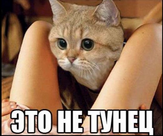 Как попросить у парня чтобы отлизал, маркер в вагине