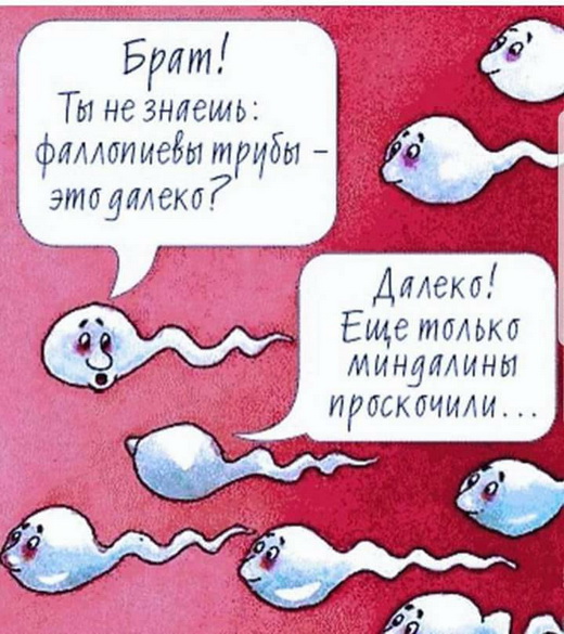 http://s00.yaplakal.com/pics/pics_original/3/8/7/11411783.jpg