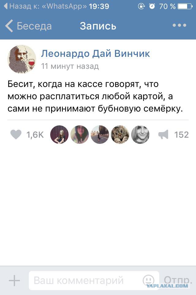 7437783.jpg