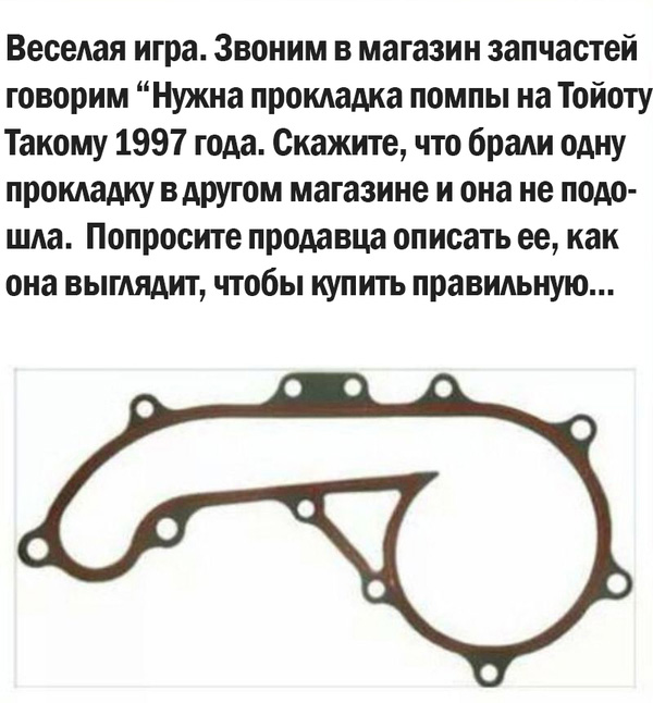 7538783.jpg