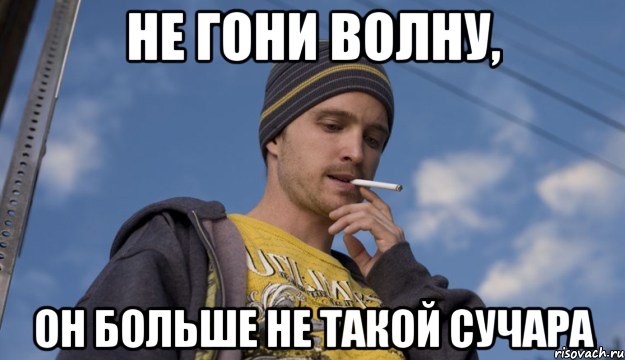 Указал на виновного