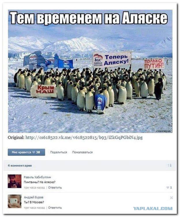 3016093.jpg