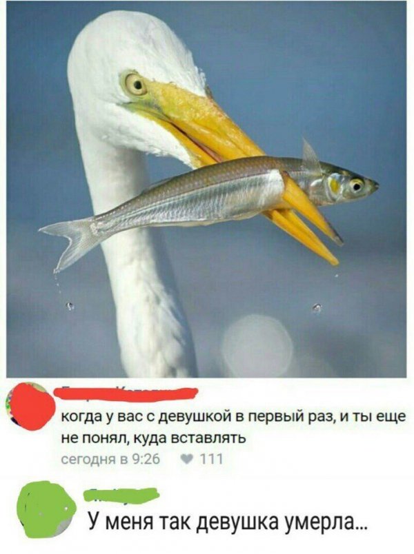 Нестандартный юмор