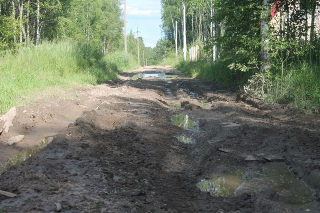 Многодетным семьям выдали участки на болоте, к которому нет дороги