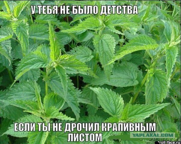 Абсурдный юмор ч.2