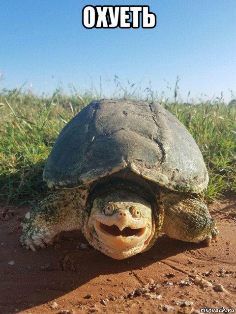 Дворовой конфликт: в бой идет и стар и млад