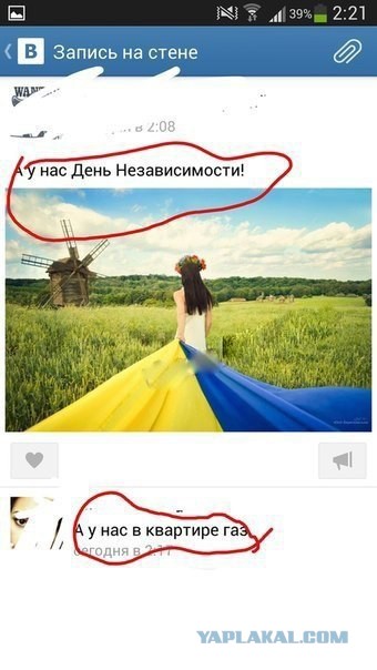 4149393.jpg