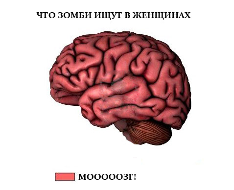 Что мужчины ищут в женщинах