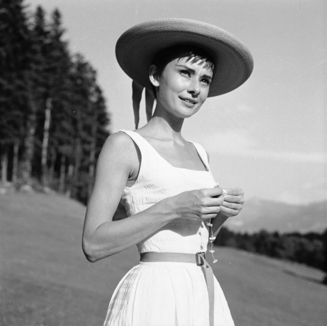 The special edition: Audrey Hepburn