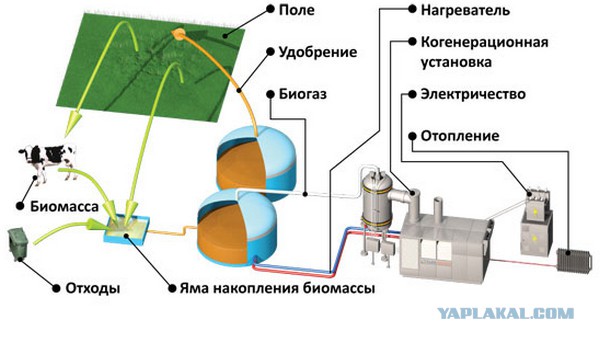 Установка по получению биогаза Установка по получению биогаза
